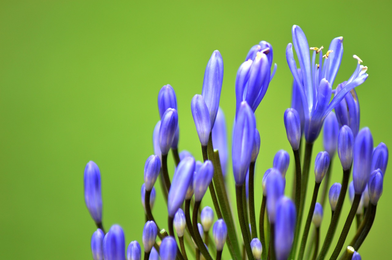 社会男生头像最新潮流趋势,个性表达与时代风尚的完美结合
